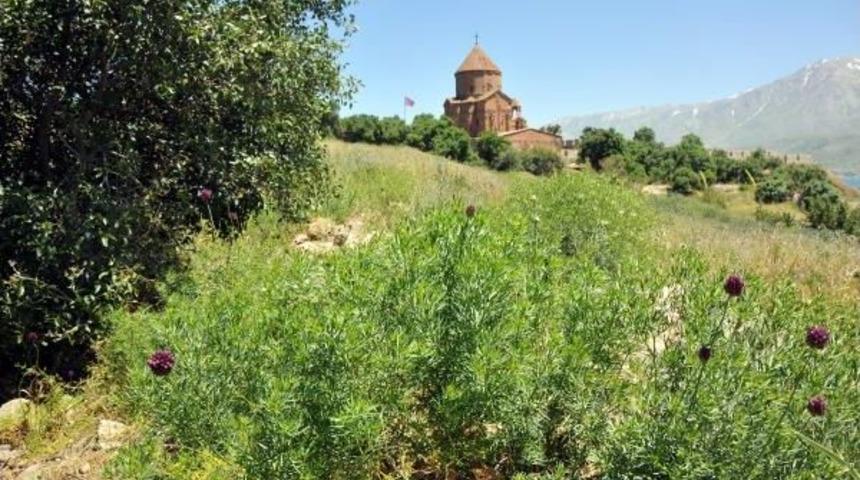 Tavşanla M&uuml;cadele Akdamar Adası'na Hayat Verdi