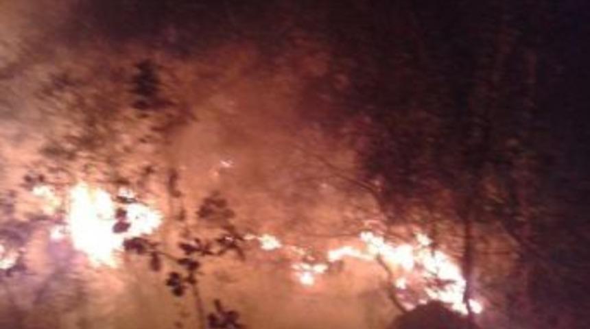 Marmaris&rsquo;te Ormana D&uuml;şen Yıldırım Yangına Sebep Oldu