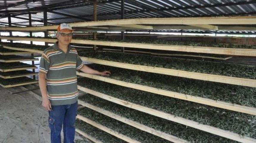 Melisa, Hem T&uuml;keticiyi Hem De &Uuml;reticiyi Rahatlattı