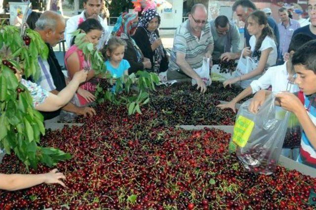 1 Ton Kiraz 15 Dakikada Tükendi