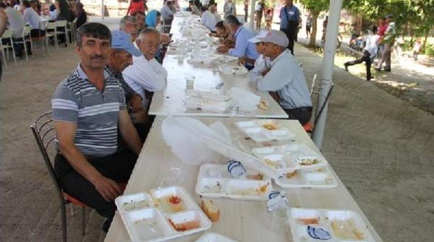 Kayısısız 'kayısı Festivali' Ilgi G&ouml;rmedi