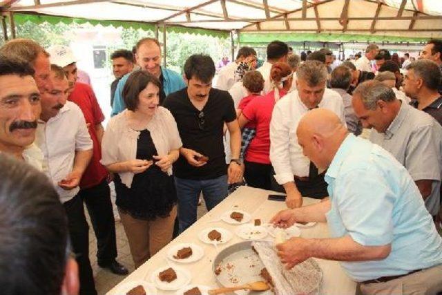 Kayısısız 'kayısı Festivali' Ilgi Görmedi