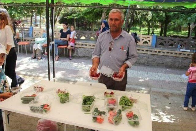 Kayısısız 'kayısı Festivali' Ilgi Görmedi