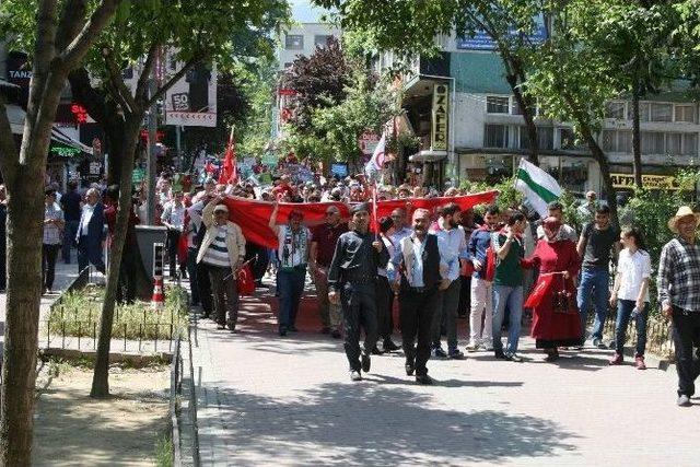 Fındık İçin Horon Teperek Yürüdüler