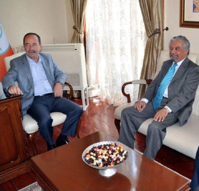 Bm Koordinat&ouml;r&uuml; Malhotra: T&uuml;rkiye&rsquo;De Yasalar Kadına Şiddeti Azaltamadı 1