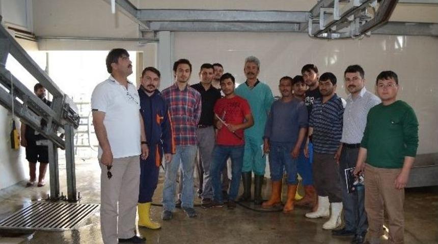 Korkuteli&rsquo;nde Kasaplar Sertifikalı Olacak