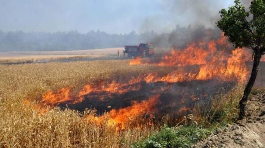 Tarım Arazisindeki &Ccedil;ıkan Yangın Ormanı Da Yaktı