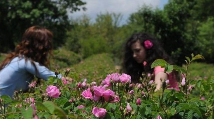 Isparta’da Gül Festivali