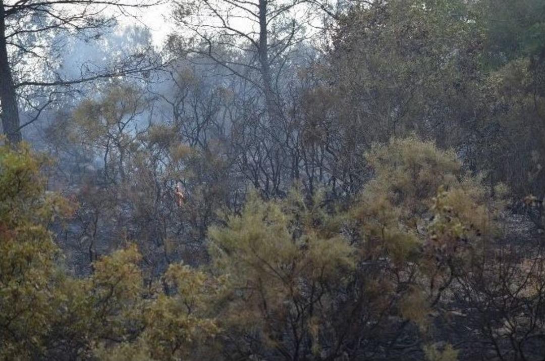 Dalaman&rsquo;da Mevsimin İlk Orman Yangını