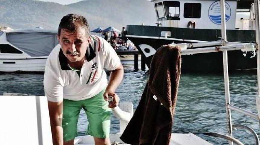 Kadın Azmağı'nda Yalnız Bir Yavru Fok