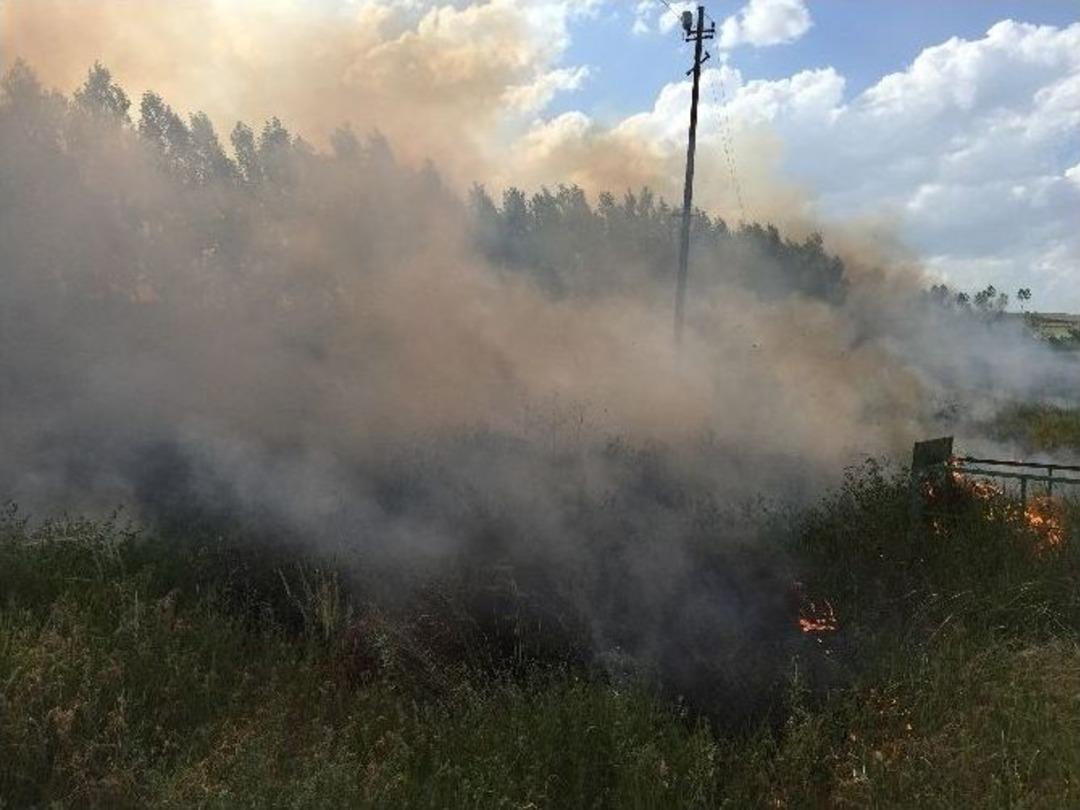 Mezarlıkta &Ccedil;ıkan Yangın Korkuttu