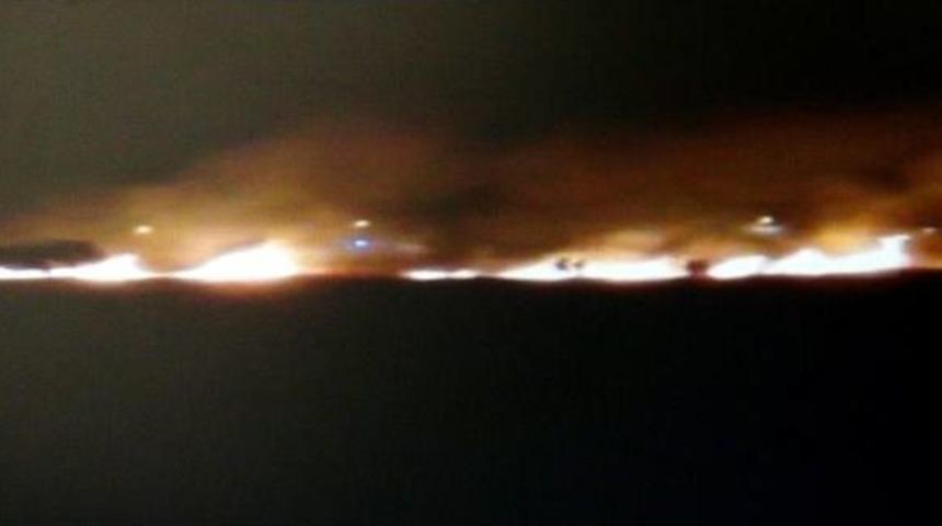 D&uuml;ğ&uuml;nde Atılan Havai Fişek, Tarladaki Bağdayı K&uuml;le &Ccedil;evirdi