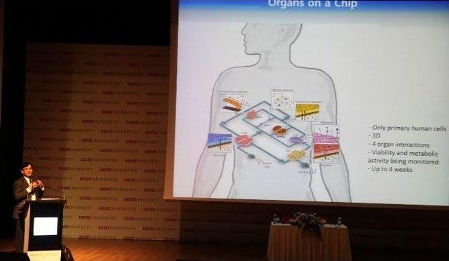 İnsan Hücresinden Çip Ürettiler 1