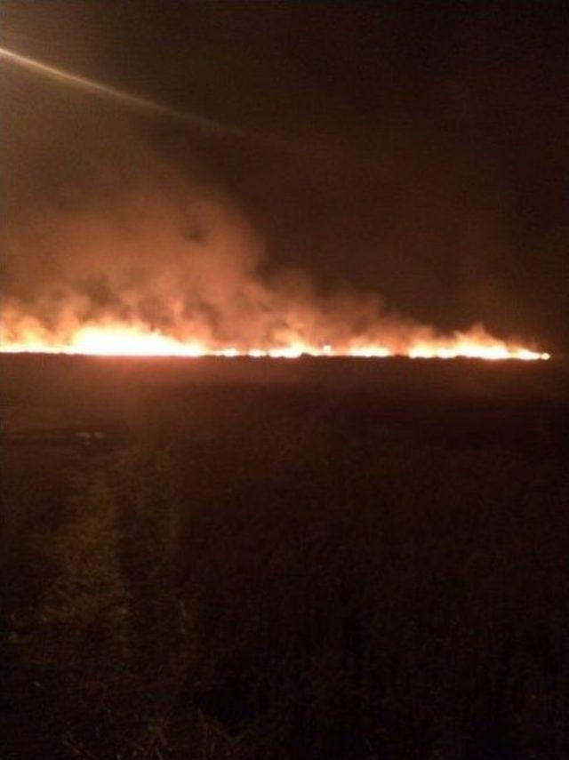 Havai Fişek 250 Hektarlık Buğday Tarlasını K&uuml;le &Ccedil;evirdi 2