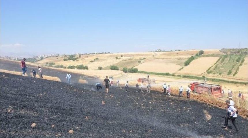 Kahta&rsquo;da 20 D&ouml;n&uuml;ml&uuml;k Buğday Tarlası Yandı