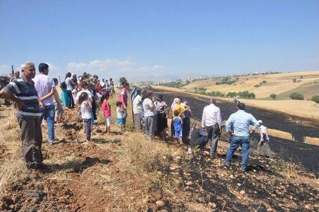Kahta&rsquo;da 20 D&ouml;n&uuml;ml&uuml;k Buğday Tarlası Yandı 1