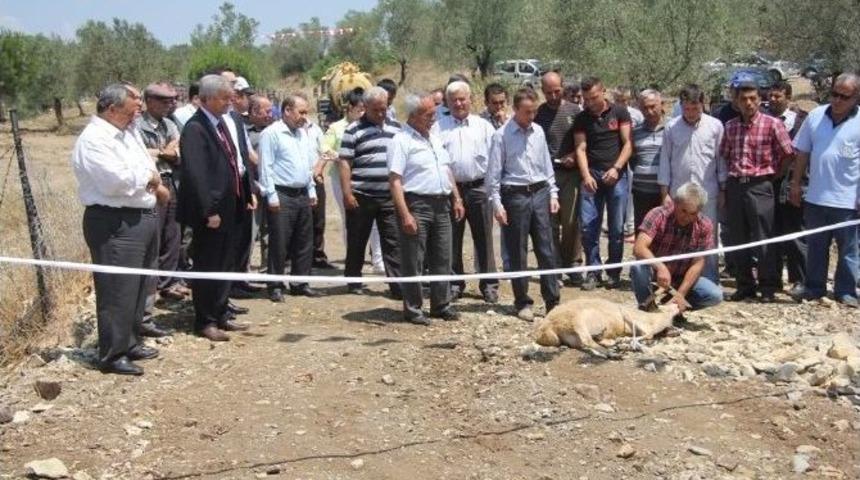 Bahadınlı&rsquo;da K&ouml;pr&uuml; Sevinci