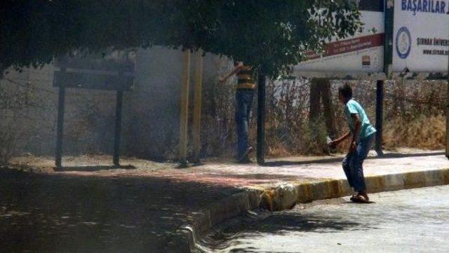 Suriye Sınırında Çıkan Yangını Çocuklar, Pet Şişelerindeki Suyla Söndürmeye Çalıştı 2