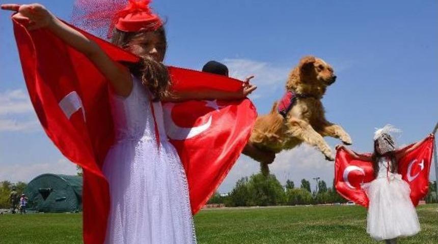 Jandarmanın Kuruluş Yıl D&ouml;n&uuml;m&uuml; Etkinliğinde 'gurbet' Ve 'ayaz' Şov Yaptı