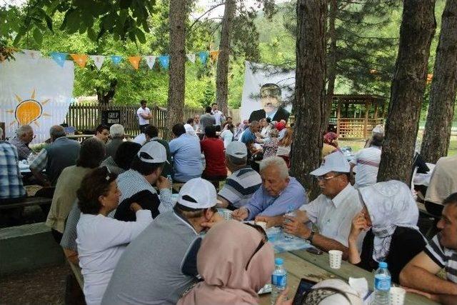 Tun&ccedil;&rsquo;tan Ak Parti Teşkilatlarına Teşekk&uuml;r Pikniği 1