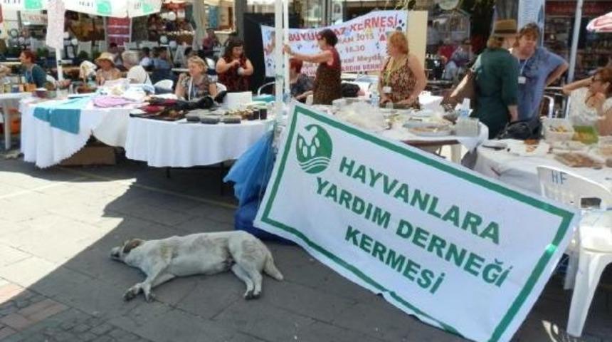 Fo&ccedil;a'da Can Dostları I&ccedil;in Kermes