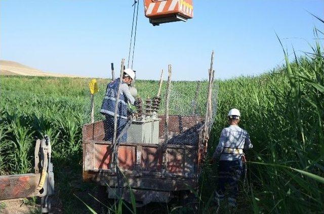 Diyarbakır’da Kaçak Trafo Ele Geçirildi