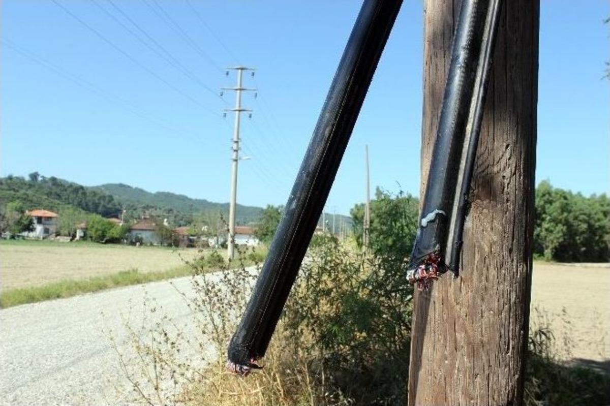 Kablo Fareleri Tutuklandı