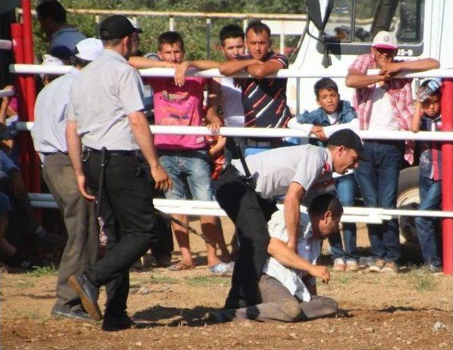 Musluca Arenası Boğalara Dar Geldi