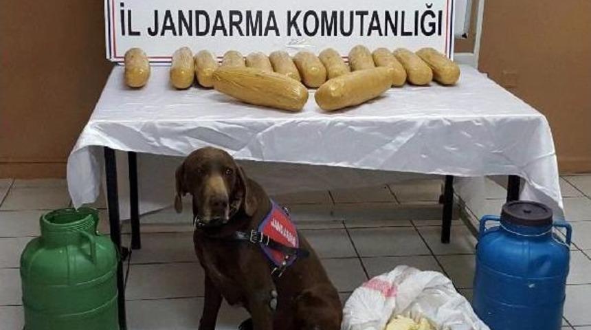 Otob&uuml;steki Peynir Bidonunda 16 Kilo Esrar