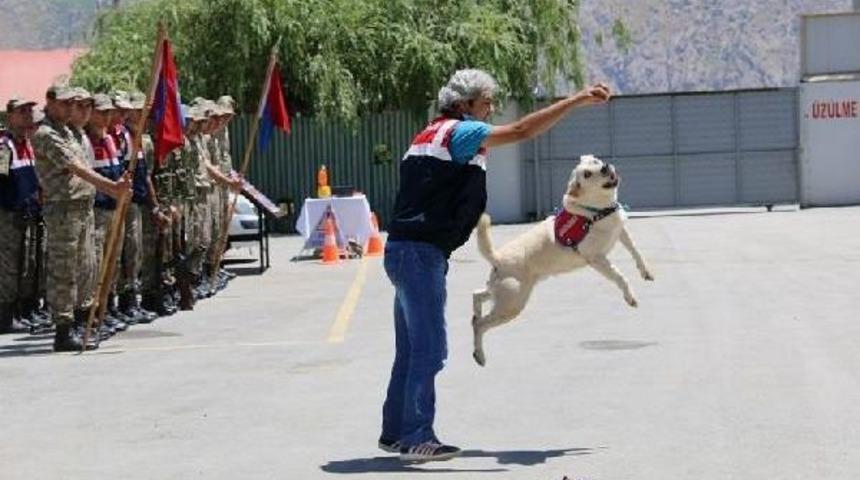 Hakkari'de Jandarmanın Gurur G&uuml;n&uuml;