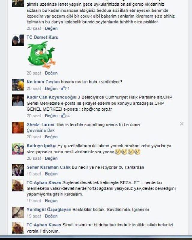 Dalaman da Sokak Hayvanı Katliamına Tepki B&uuml;y&uuml;yor 2