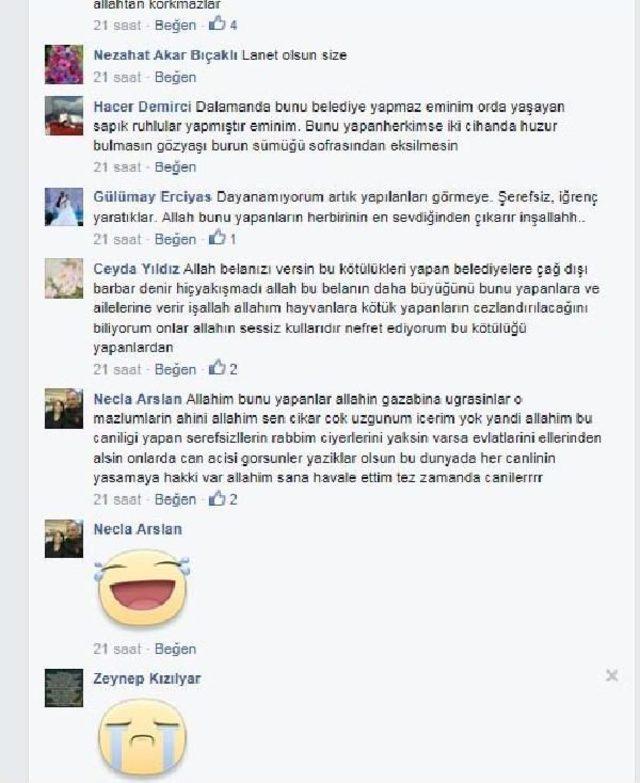 Dalaman da Sokak Hayvanı Katliamına Tepki B&uuml;y&uuml;yor 3