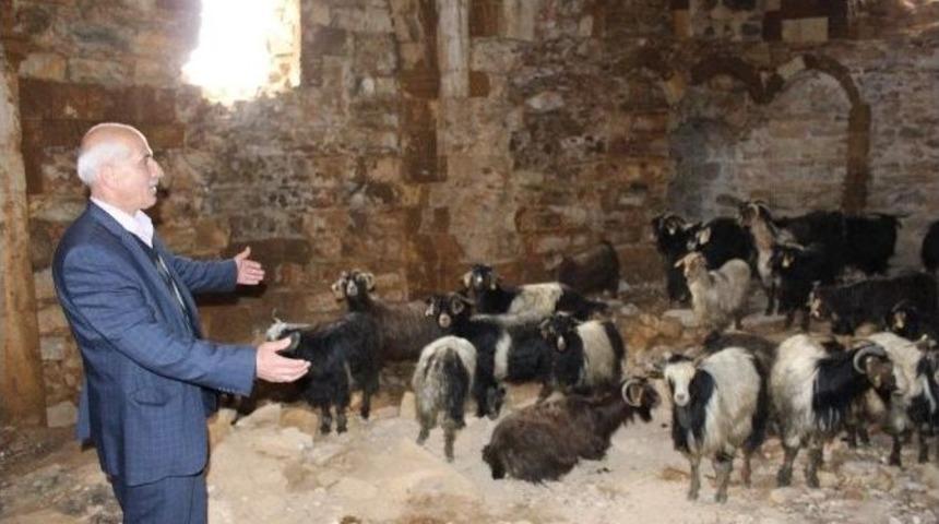 1500 Yıllık Tarihi Manastır Ahır Oldu