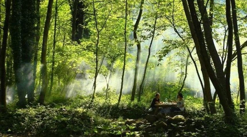 Başiskele 5 Bin Tl&rsquo;lik &Ouml;d&uuml;l&uuml;n Sahiplerini Bekliyor