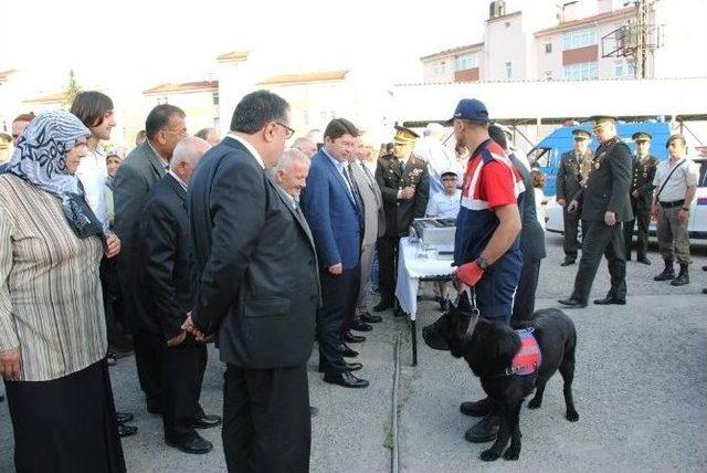 Bartın’da Jandarmanın 176 Kuruluş Yıldönümü Kutlandı