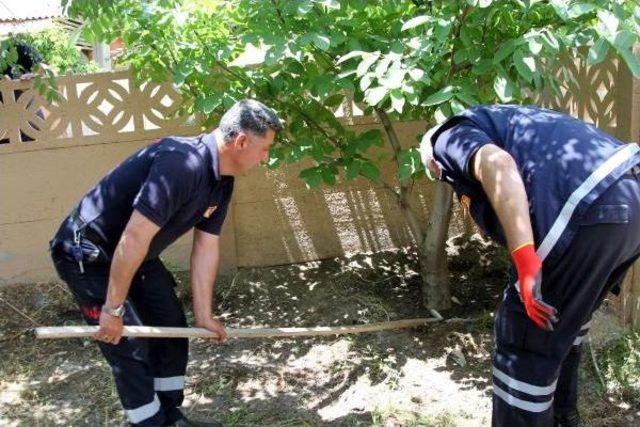 Evin Bahçesindeki Yılanı Itfaiye Ekibi Yakaladı