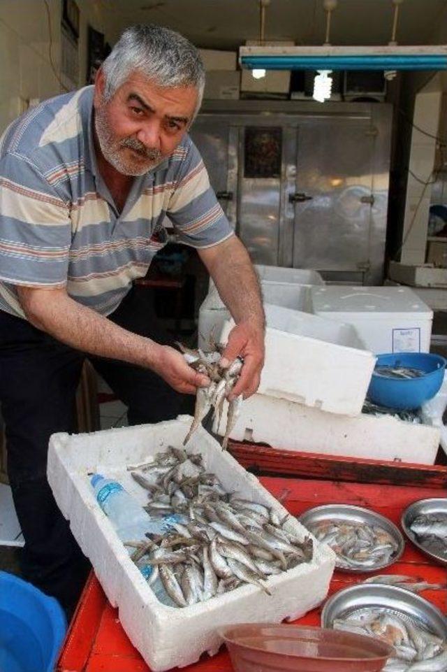 Ramazan Ayında Balık Tüketecek Vatandaşlara Tavsiyeler