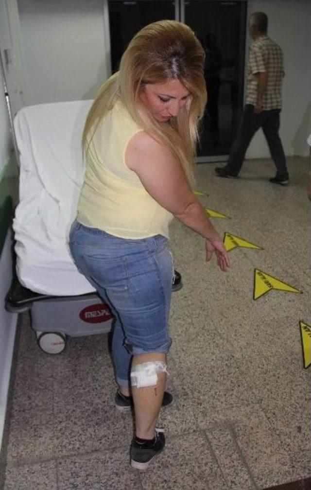 K&ouml;peklerin Saldırısına Uğrayan Kadın Hastanelik Oldu 1