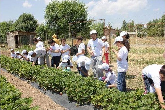 Lider Çocuk Tarım Kampı Düzenlendi