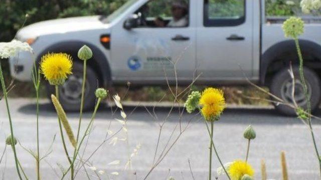 Tüllüşah Tanıtımın Yeni Yüzü Olacak