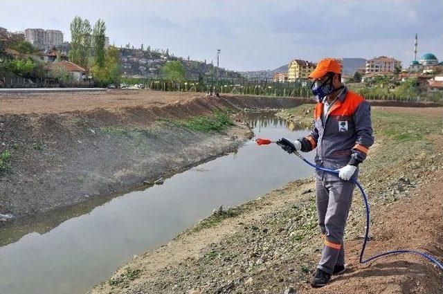 Mamak’ta Larva Ve Haşere Mücadelesi Devam Ediyor 1