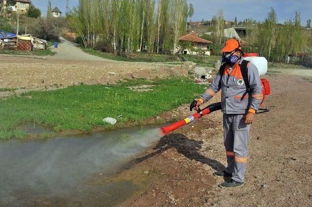 Mamak’ta Larva Ve Haşere Mücadelesi Devam Ediyor 2