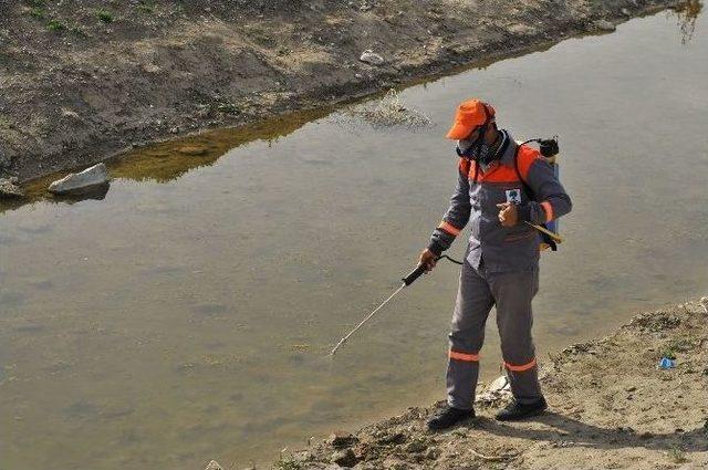 Mamak’ta Larva Ve Haşere Mücadelesi Devam Ediyor 3