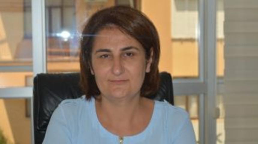 Besilik Sığır Destekleme İcmalleri 22-25 Haziran Tarihleri Arası Askıya &Ccedil;ıkarılacak