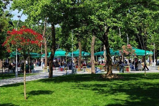 Şemsiyeli Park’a Yaz Geldi