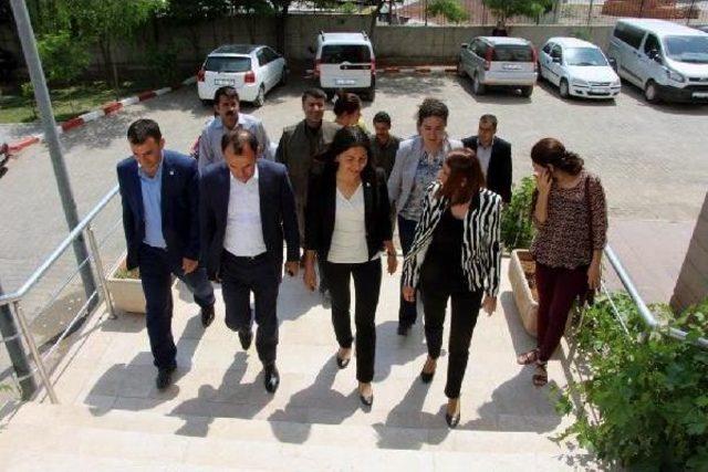 Hdp Şırnak Milletvekilleri Mazbatalarını Aldı