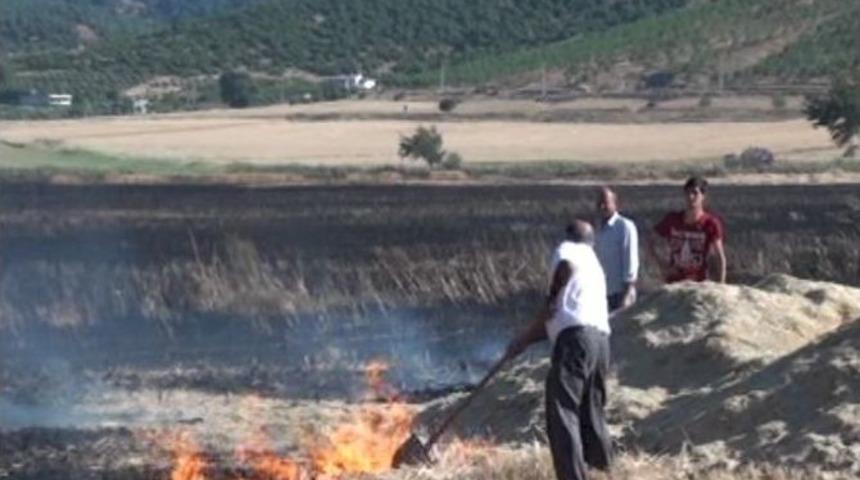 Bin D&ouml;n&uuml;ml&uuml;k Buğday Tarlası K&uuml;l Oldu