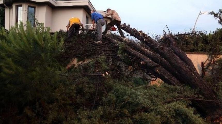 Büyükçekmece’ye Düşen Yıldırım Korkuttu