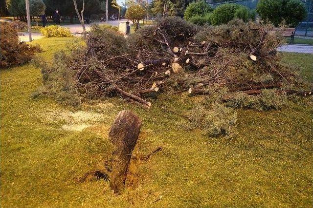 Büyükçekmece’ye Düşen Yıldırım Korkuttu 1