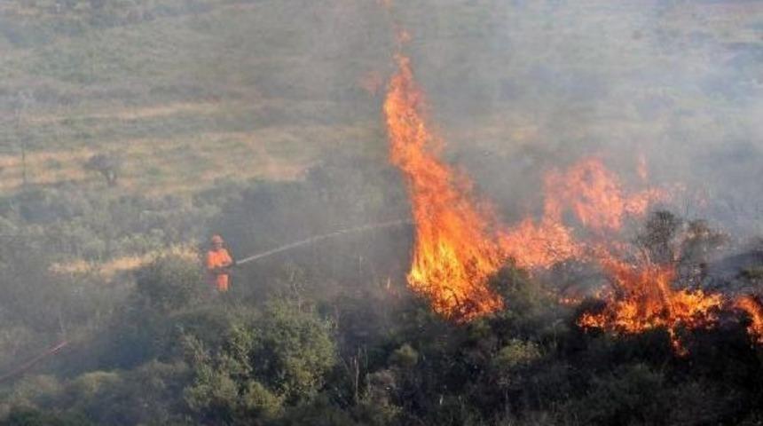 Turgutlu'da Makilik Alan Ve &Uuml;z&uuml;m Bağı Yandı